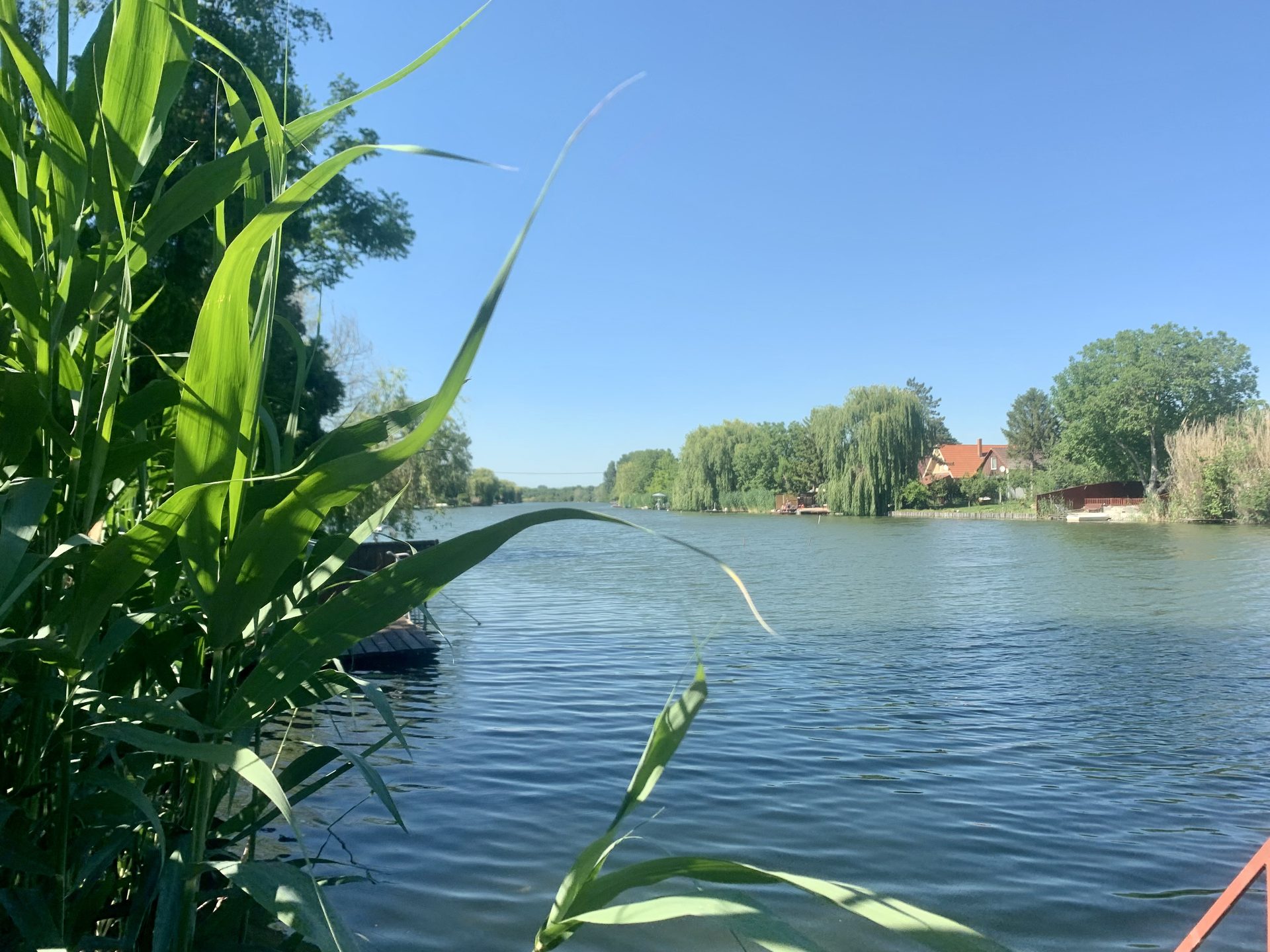 A Siratói Holt-Körös a stégről